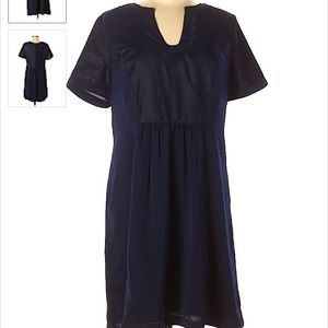 Ann Taylor Dress (Blue)